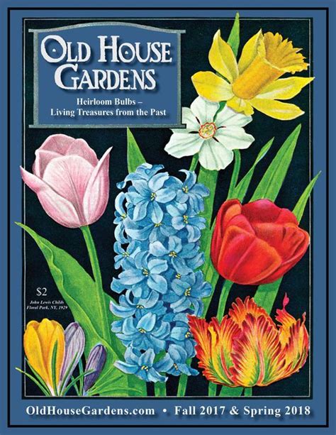 flower seed and bulb catalogs